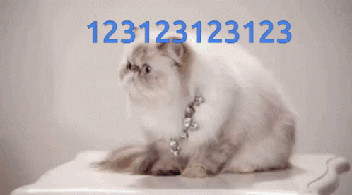 123123123123